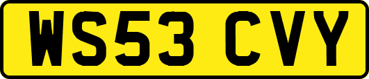 WS53CVY
