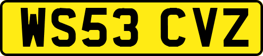 WS53CVZ