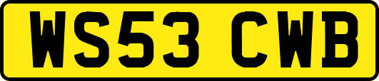 WS53CWB