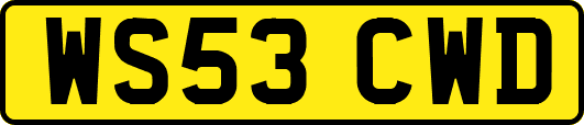 WS53CWD