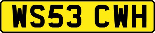WS53CWH