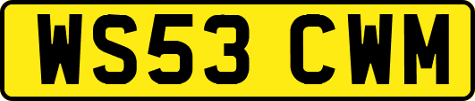 WS53CWM
