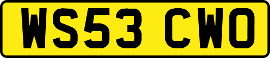 WS53CWO