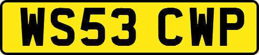 WS53CWP