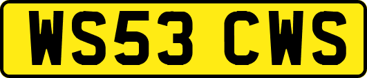WS53CWS