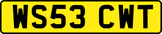 WS53CWT