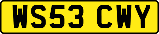 WS53CWY