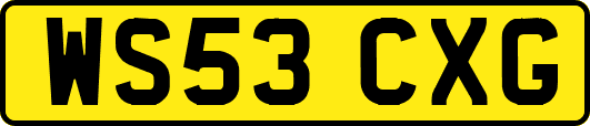 WS53CXG