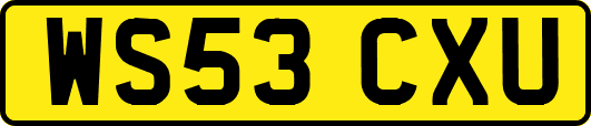 WS53CXU