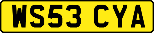 WS53CYA