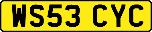 WS53CYC