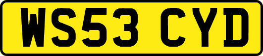 WS53CYD