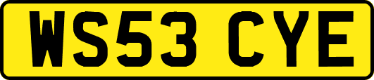 WS53CYE