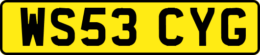 WS53CYG