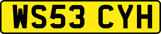 WS53CYH