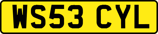 WS53CYL