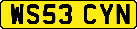 WS53CYN