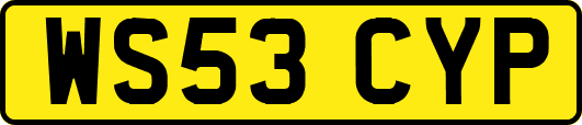 WS53CYP