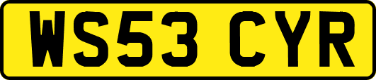 WS53CYR