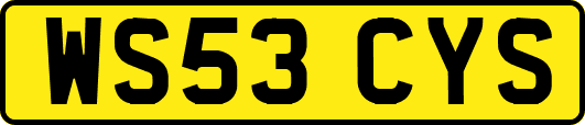 WS53CYS