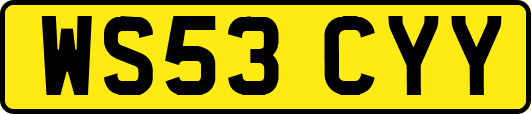 WS53CYY