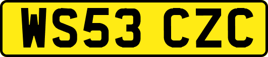 WS53CZC