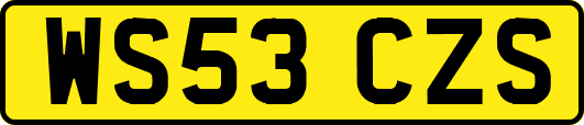 WS53CZS