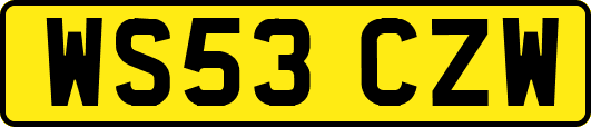 WS53CZW