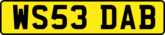 WS53DAB