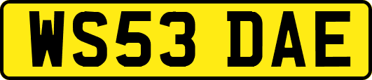 WS53DAE