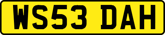 WS53DAH