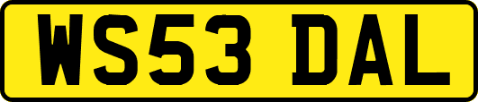 WS53DAL