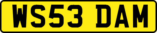 WS53DAM