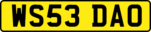 WS53DAO
