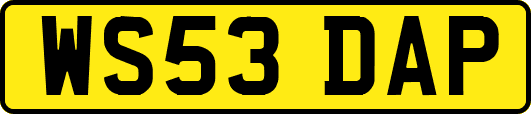 WS53DAP