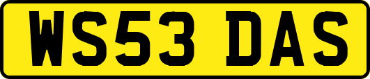 WS53DAS