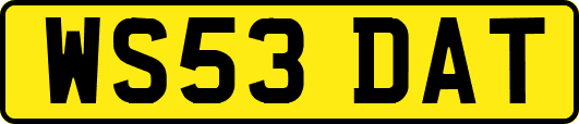 WS53DAT