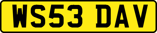 WS53DAV