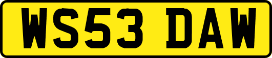 WS53DAW