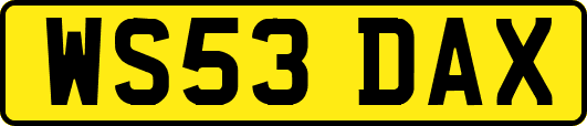 WS53DAX