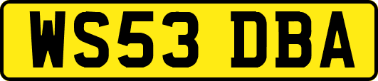 WS53DBA