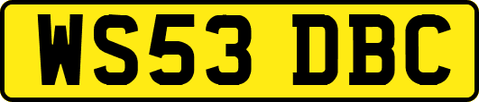 WS53DBC