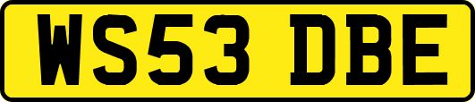 WS53DBE