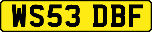 WS53DBF