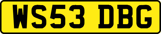 WS53DBG