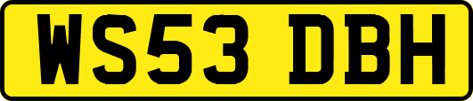 WS53DBH