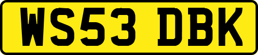 WS53DBK