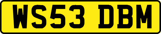 WS53DBM