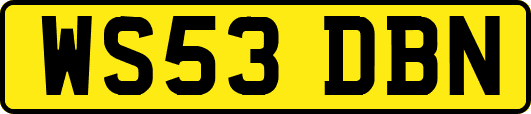 WS53DBN