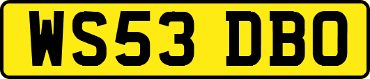 WS53DBO